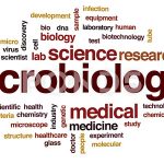 اصطلاحات تخصصی میکروبیولوژی